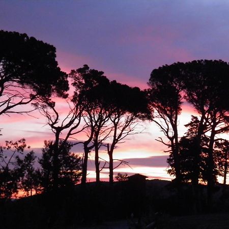 Villa Aigues Vives Boutenac ภายนอก รูปภาพ