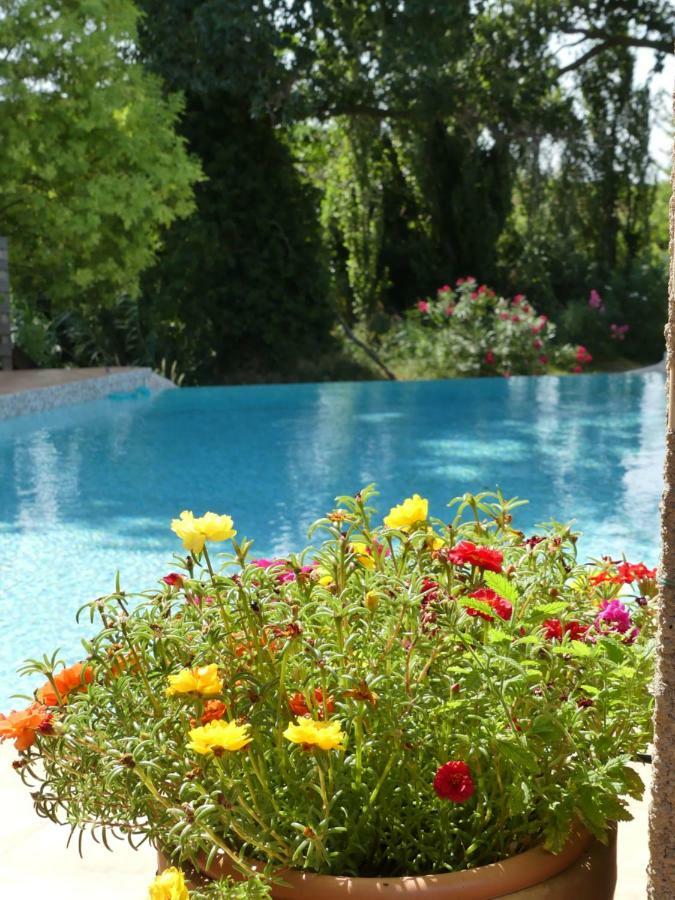 Villa Aigues Vives Boutenac ภายนอก รูปภาพ