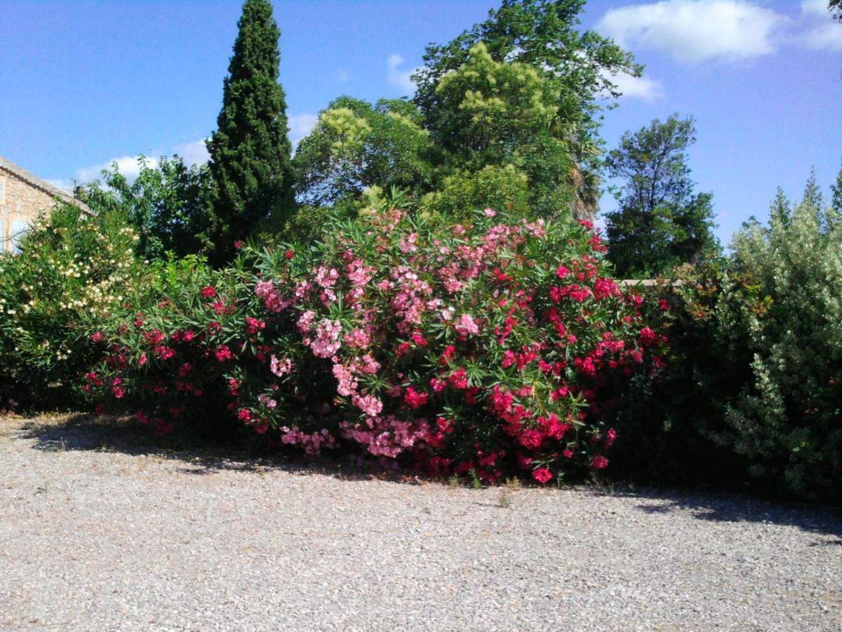 Villa Aigues Vives Boutenac ภายนอก รูปภาพ
